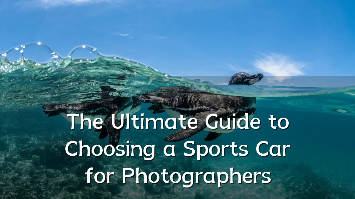 The Ultimate Guide to Choosing a Sports Car for Photographers