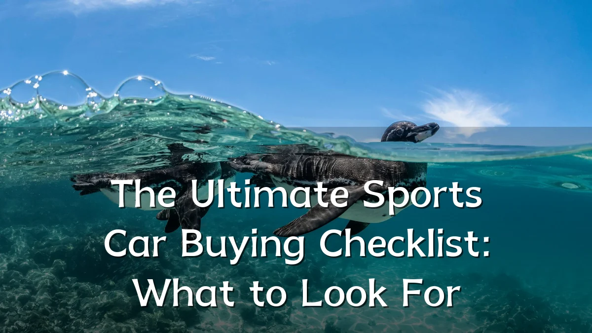 The Ultimate Sports Car Buying Checklist: What to Look For