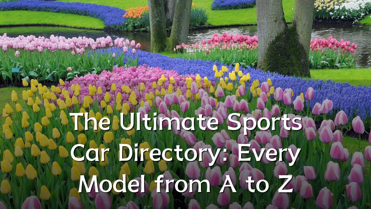 The Ultimate Sports Car Directory: Every Model from A to Z