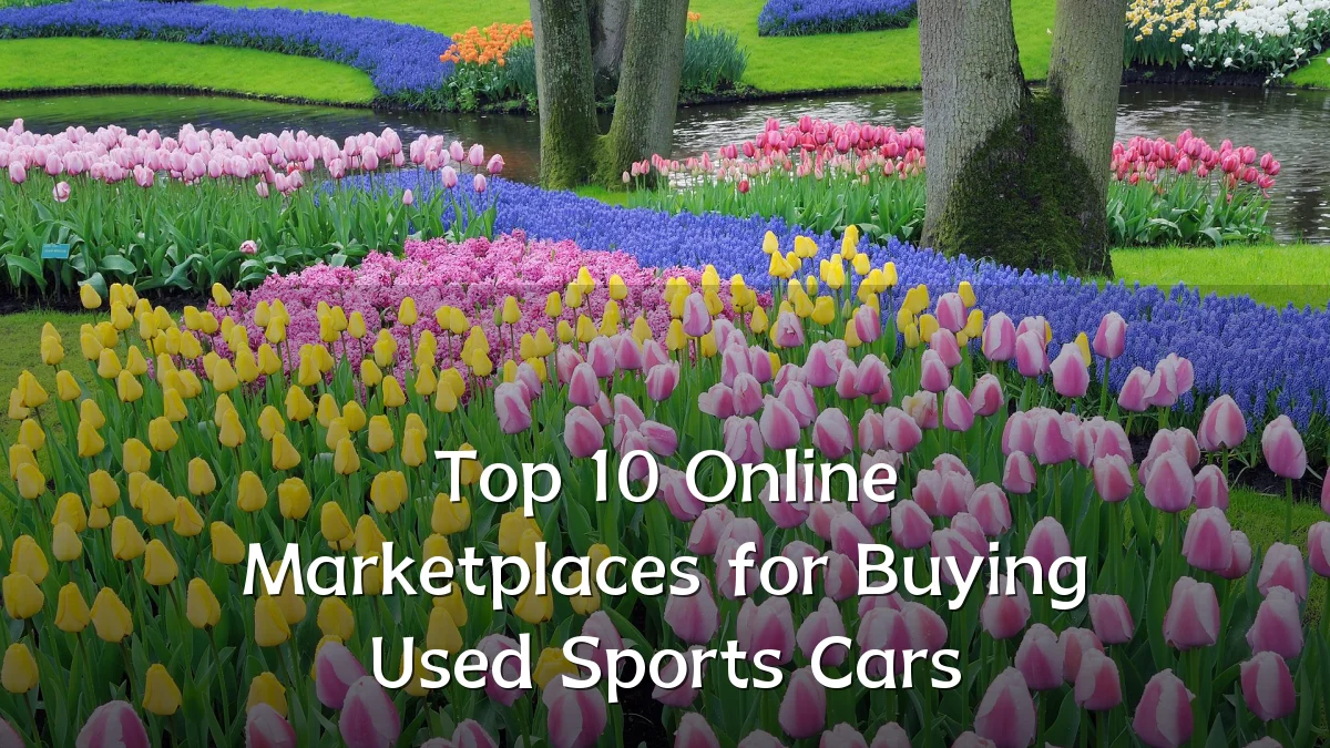 Top 10 Online Marketplaces for Buying Used Sports Cars