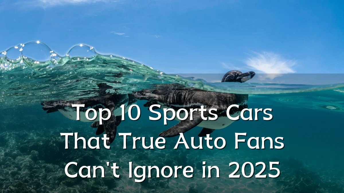 Top 10 Sports Cars That True Auto Fans Can't Ignore in 2025