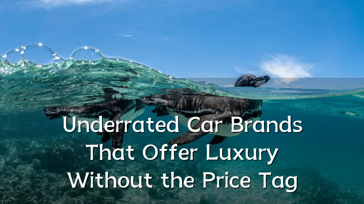 Underrated Car Brands That Offer Luxury Without the Price Tag