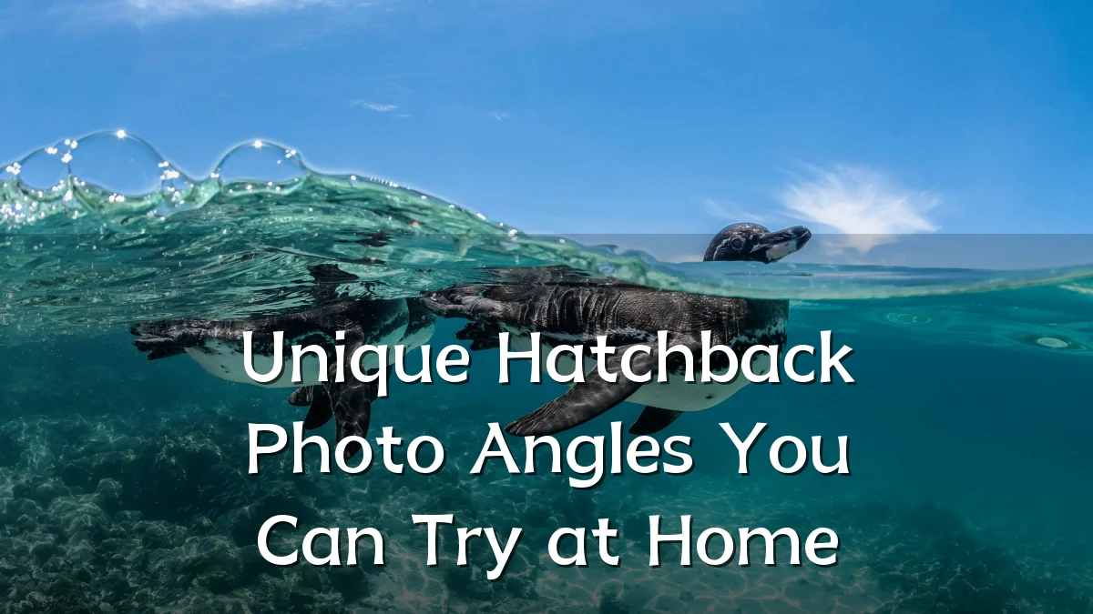 Unique Hatchback Photo Angles You Can Try at Home